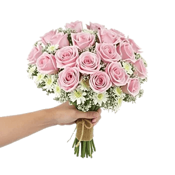 Blushing Rose Symphony