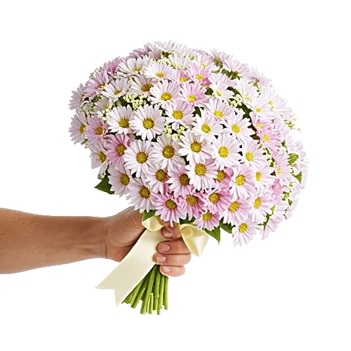 Ivory Blossom Radiance