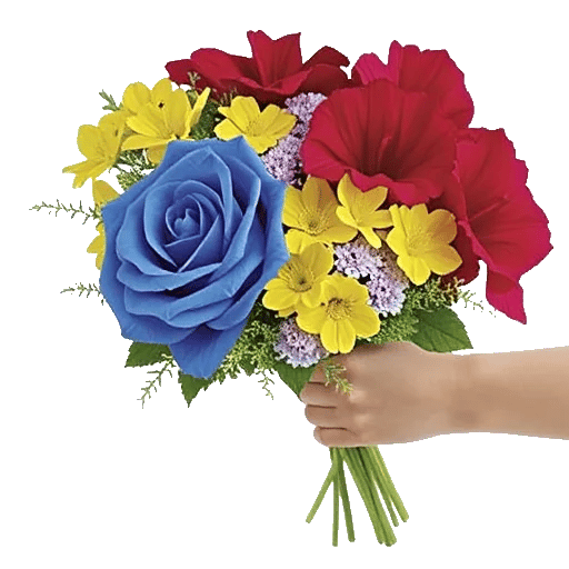 Elegant Blue Roses