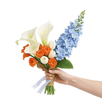 Elegant Calla Lilies