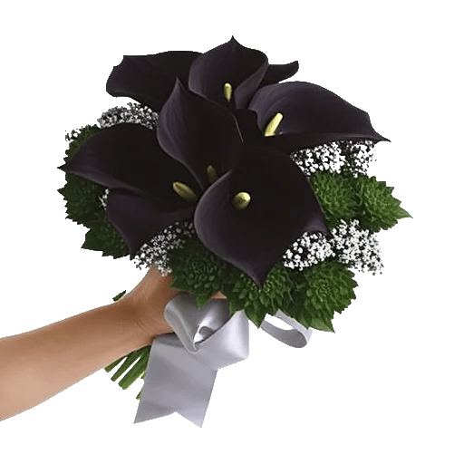 Elegant Calla Lilies