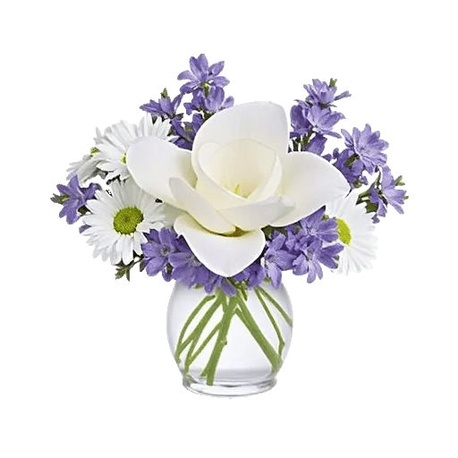 Graceful Lily Display