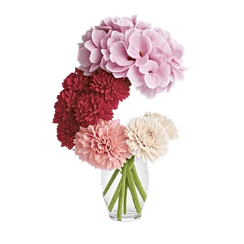 Blooming Serenity Display