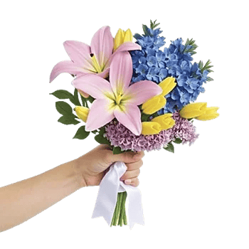 Blossom Petal Serenity