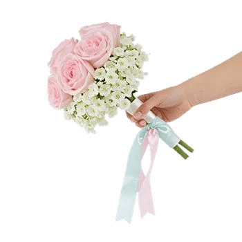 Delicate Petal Cascade