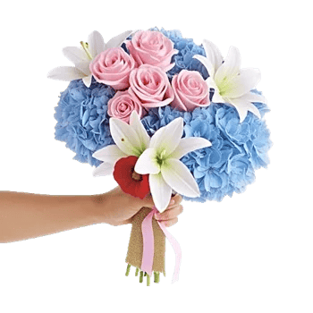 Blushing Rose Symphony