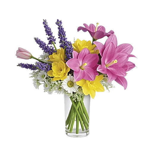 Ivory Blossom Radiance