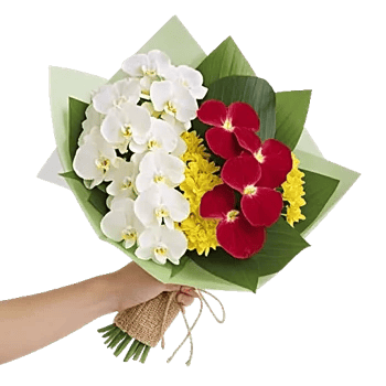 Modern White Orchids