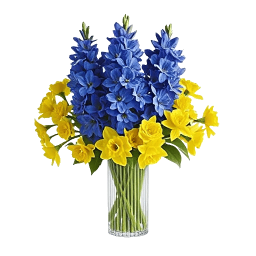 Serenity Blossom Grace