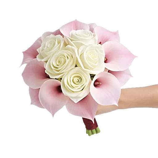 Elegant Calla Lilies