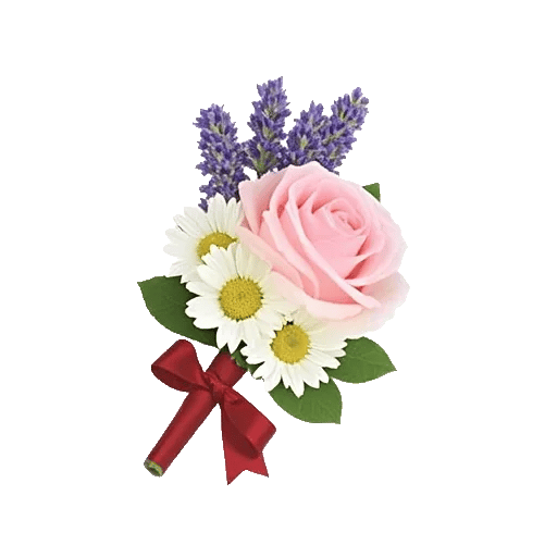 Blushing Rose Symphony