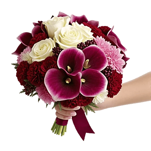 Elegant Calla Lilies