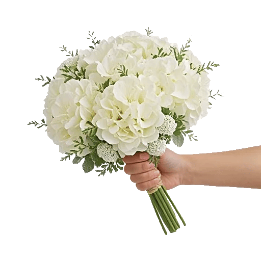 Ivory Garden Grace