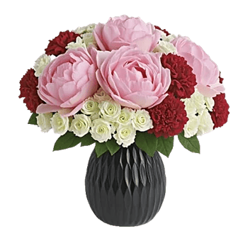 Petal Radiance Bliss