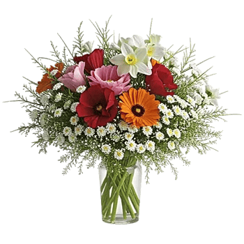 Petal Radiance Bliss