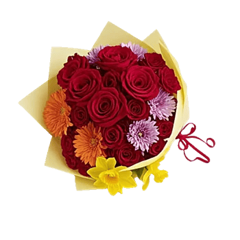 Crimson Rose Elegance