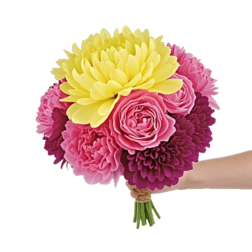 Peony Petal Harmony