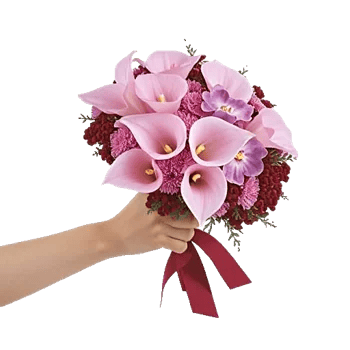 Elegant Calla Lilies