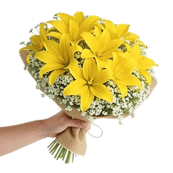 Blossom Harmony Display