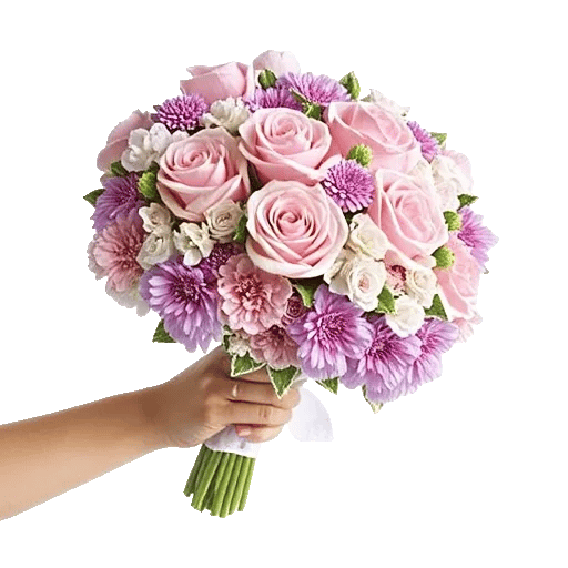 Blushing Rose Symphony