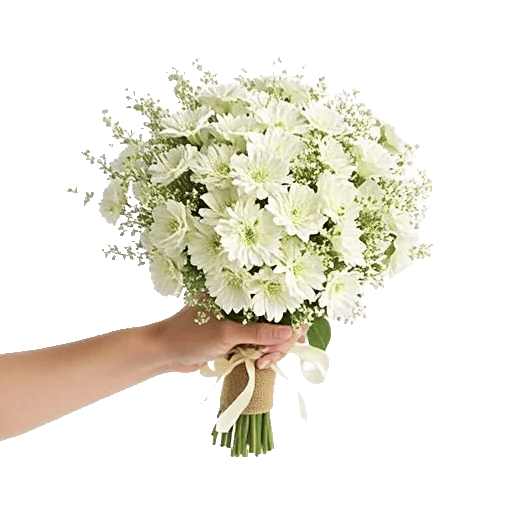 Delicate Petal Cascade