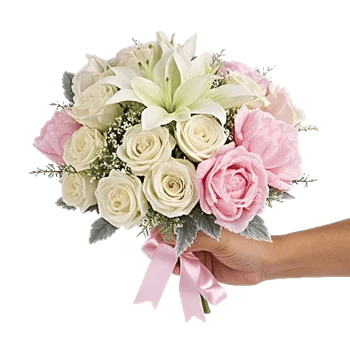 Ivory Garden Grace