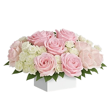 Delicate Petal Cascade