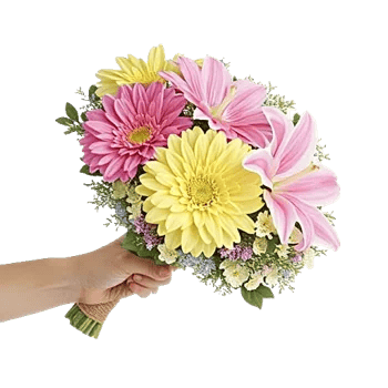 Blossom Harmony Display