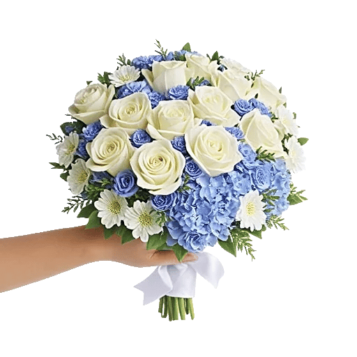 Serene Petal Harmony