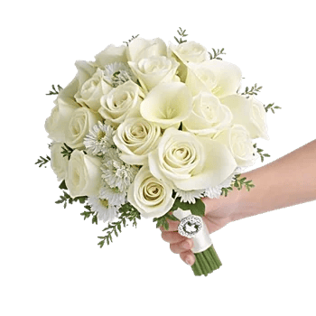 Ivory Garden Grace