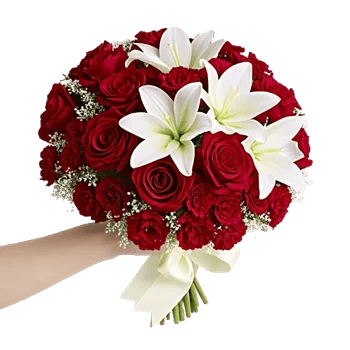 Crimson Rose Elegance