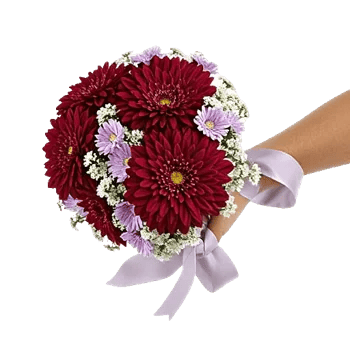 Crimson Blossom Harmony