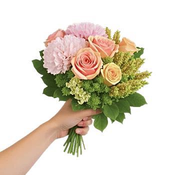 Pastel Pink Roses