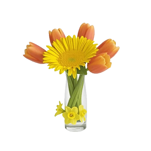 Petal Radiance Bliss