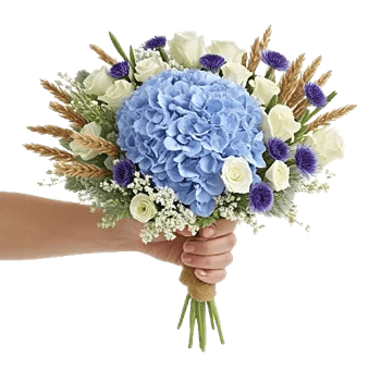 Serene Petal Harmony