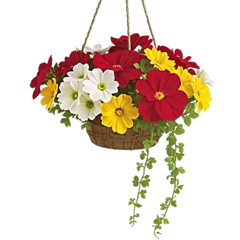 Petal Radiance Bliss