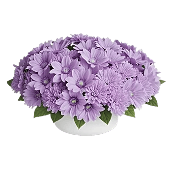 Lavender Bloom Grace