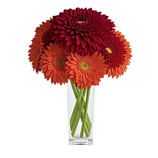 Crimson Blossom Harmony