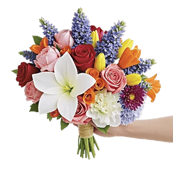 Petal Grace Harmony
