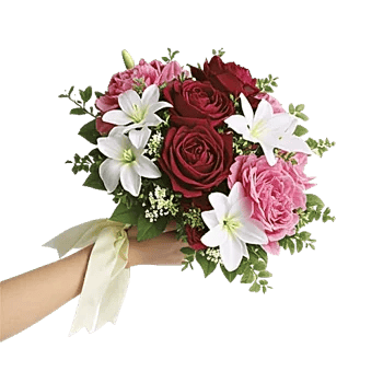 Delicate Petal Cascade