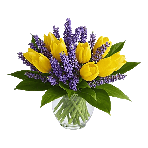 Velvet Tulip Display