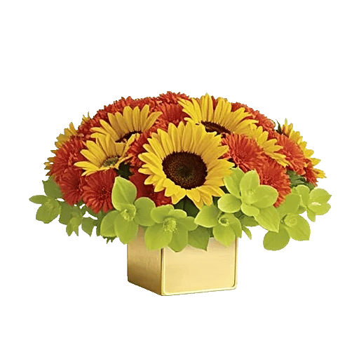 Radiant Bloom Cascade