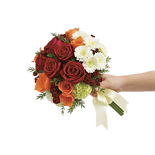 Crimson Rose Elegance