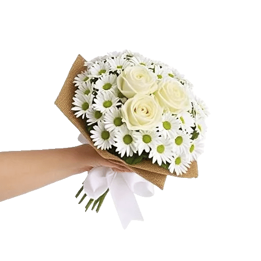 Delicate Petal Cascade