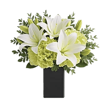 Ivory Blossom Radiance