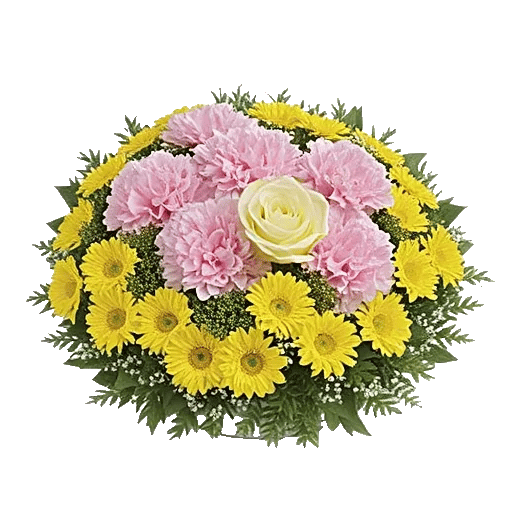 Delicate Petal Cascade