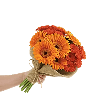 Petal Harmony Bliss