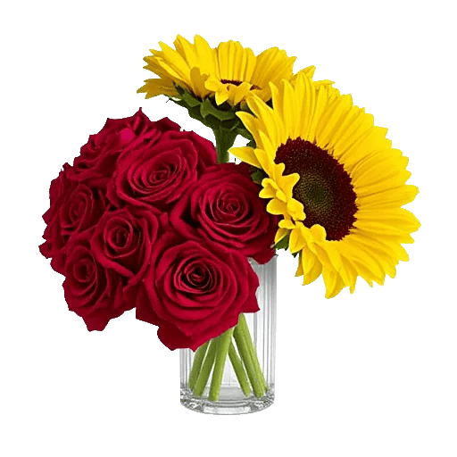 Radiant Bloom Cascade