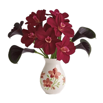 Orchid Bloom Cascade