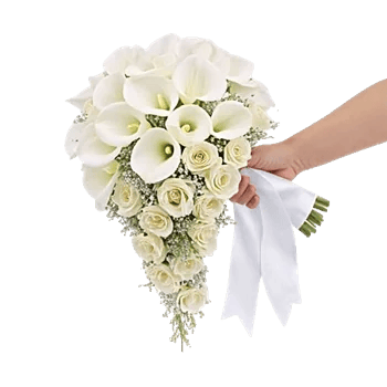 Delicate Petal Cascade